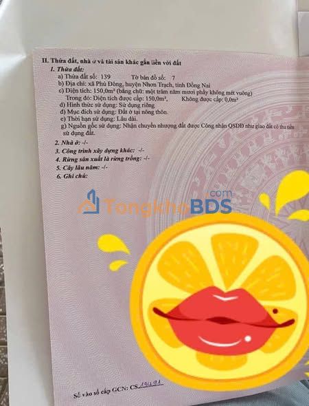 Đất Mặt Tiền Lý Thường Kiệt, Đại Phước, Nhơn Trạch - 150m² - Giá Tốt Đầu Tư