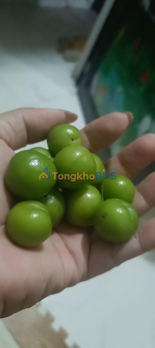 Đất nền 200m² Quốc lộ 17, Tân Yên - Sẵn sàng làm kho xưởng