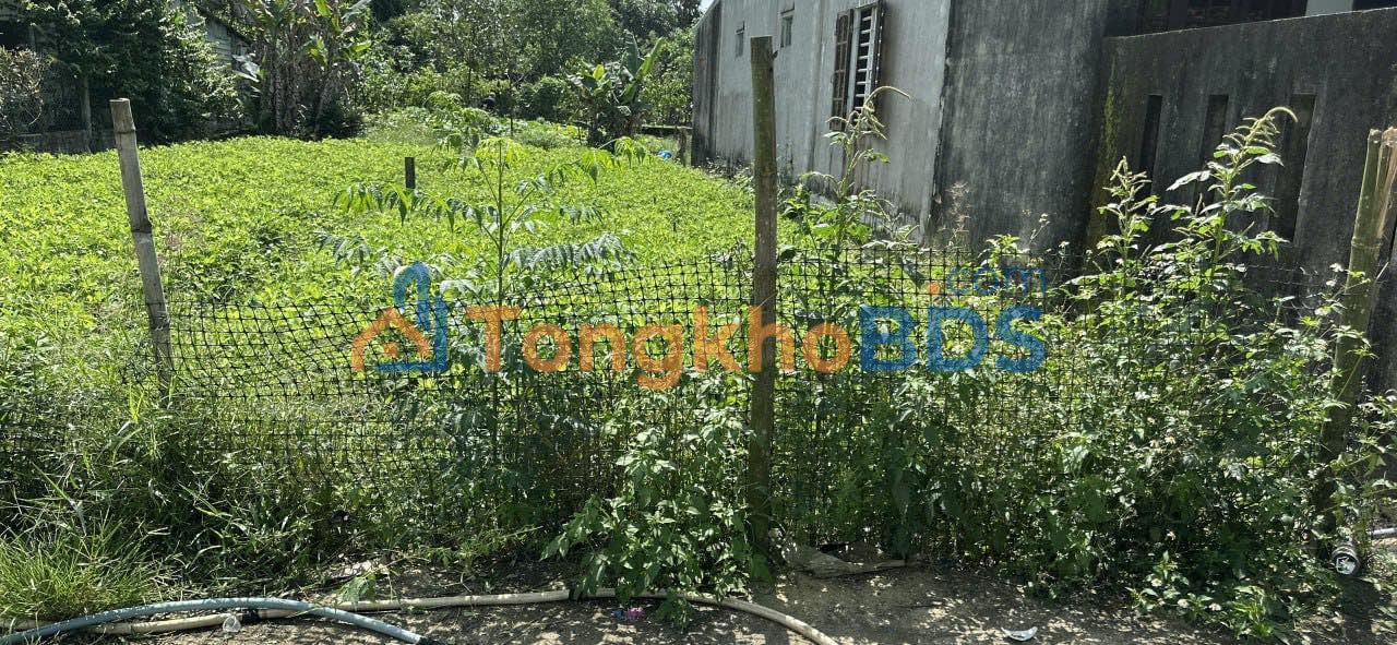 Đất Cổ An Tây 102m² 1.6 tỷ - Hạ tầng hoàn thiện