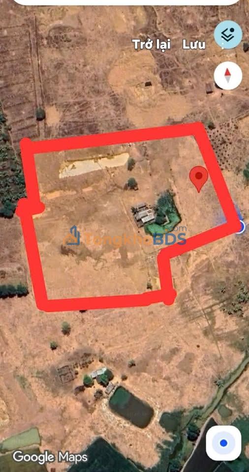 Bán Gấp 14.000m² Đất Vườn La Gi, Bình Thuận - Kẹt Ngân Hàng Giá Tốt