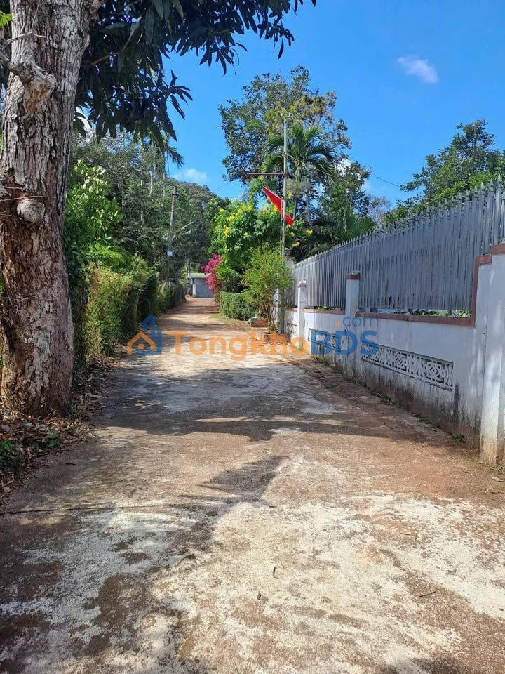 Bán Đất Thổ Cư 140m² Hẻm 75 Nguyễn Lương Bằng, Krông Búk - Giá 1.2 Tỷ
