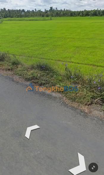 Bán Đất Vườn Vĩnh Long 5687m² - Lộ Ô Tô Gần VLXD Phước Lộc