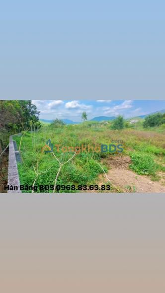 Farm Nghỉ Dưỡng 3300m² Bám Suối 100m, Sơn Động, Bắc Giang - Giá Thỏa Thuận