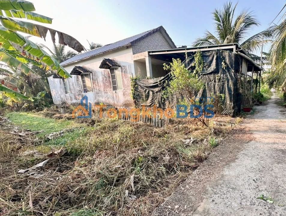 Đất Thạnh Phú 140m² 590 triệu - Sổ đỏ chính chủ