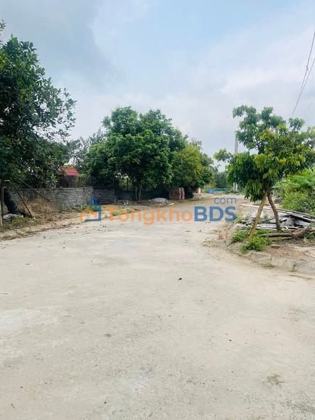 Đất Nền Tái Định Cư Câu Đông, Hồng Bàng 100m² - Vị Trí Đắc Địa