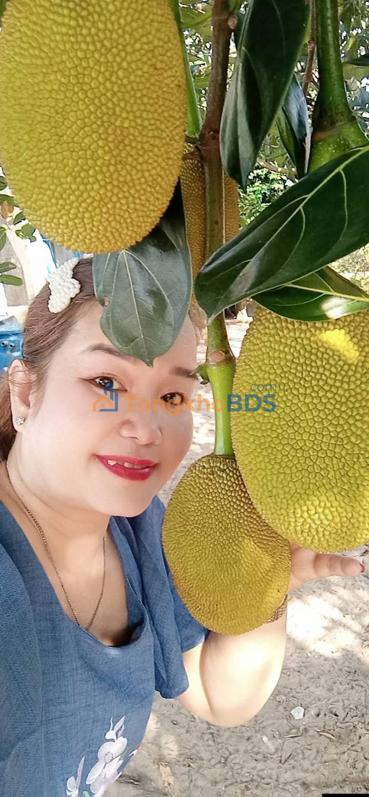 Đất nền Núi Thành 350m² 3 tỷ - Sổ đỏ chính chủ