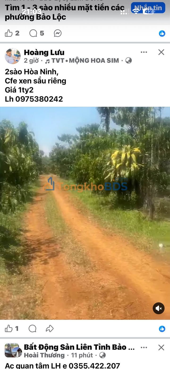 Đất vườn Lộc An 2000m² 1.25 tỷ - Nghỉ dưỡng lý tưởng