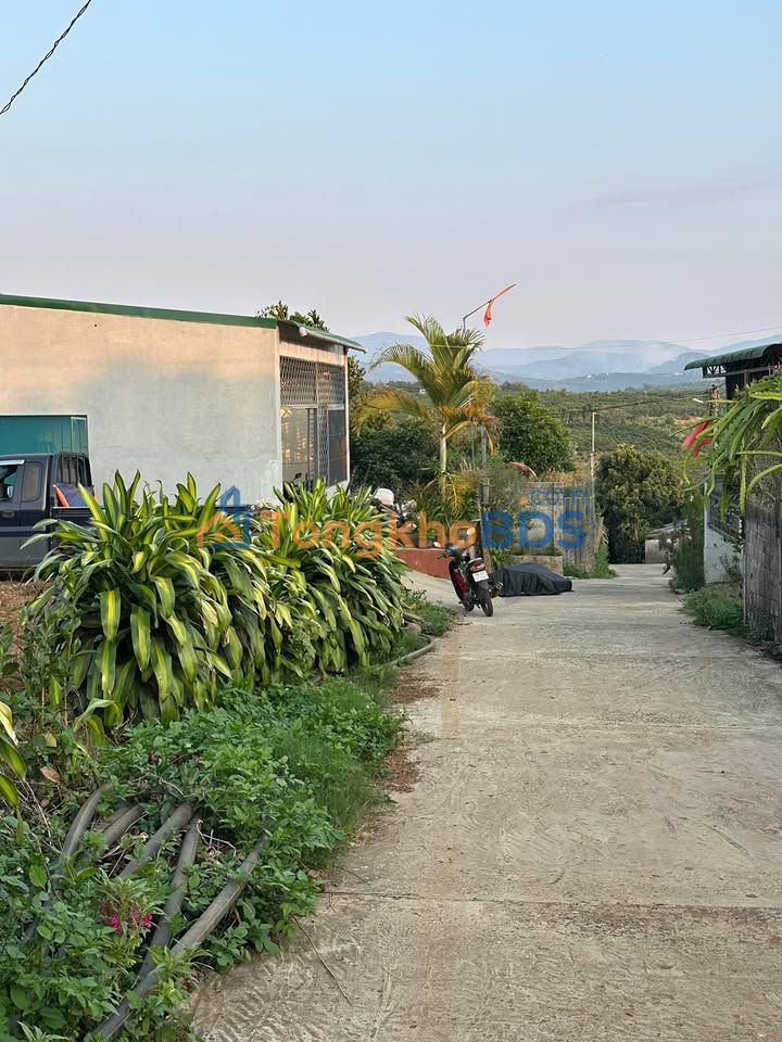 Đất nền Hòa Ninh Di Linh 660m² 85.8 tỷ - Đất thổ cư 100%