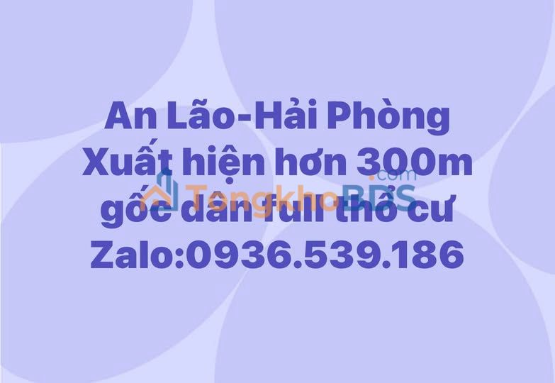 Đất thổ cư 308m² Hàng Gốc, An Dương - Chia 3 Sổ Đẹp, Giá Thỏa Thuận