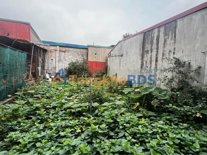 Đất nền Cổ Điển Đông Anh 70m² - Ngõ thông ô tô, tiềm năng sinh lời cao