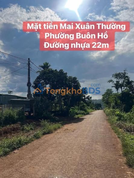 Đất Vườn 11x50m Thị Xã Buôn Hồ, Đắk Lắk - Giá 1.69 Tỷ