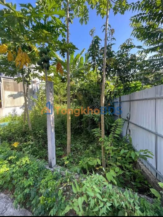 Đất nền Phường Ỷ La Tuyên Quang 171m² 2.2 tỷ - Sổ đỏ chính chủ