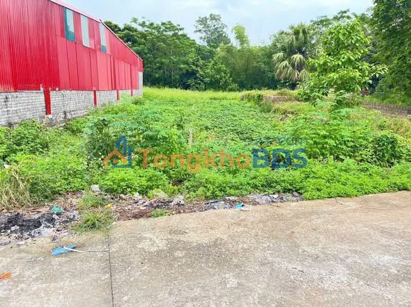 Đất nền Yên Mỹ Thanh Trì 151m² giá 3xx triệu - Sổ đỏ chính chủ