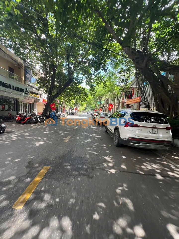 Đất Hai Bà Trưng Hồng Bàng 103m² 19.5 tỷ - Sổ đỏ chính chủ