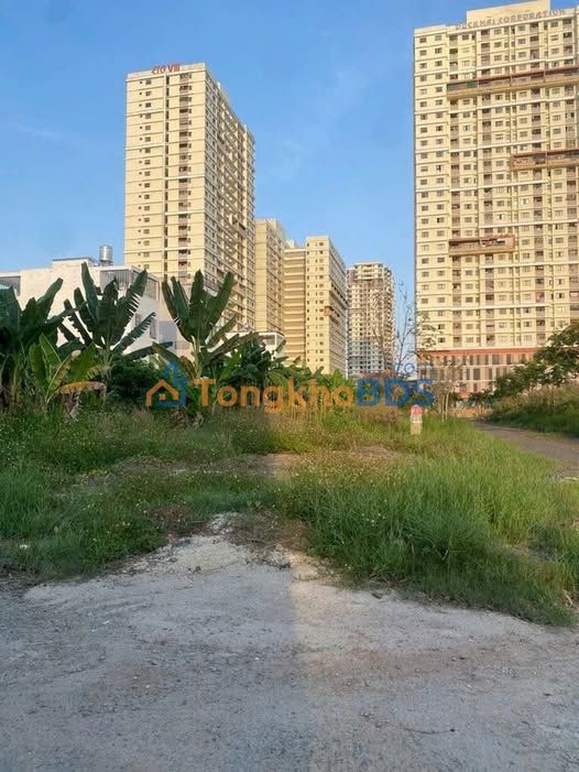 Đất Nền 114m² 2 Mặt Tiền Phạm Hữu Lầu, Quận 7 - Sổ Hồng, Giá 12 Tỷ