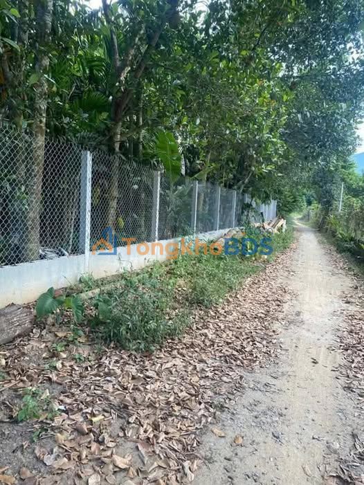 Bán đất Nghĩa Kỳ, Tư Nghĩa, Quảng Ngãi - 2500m², Đường ô tô, Giá 820 triệu