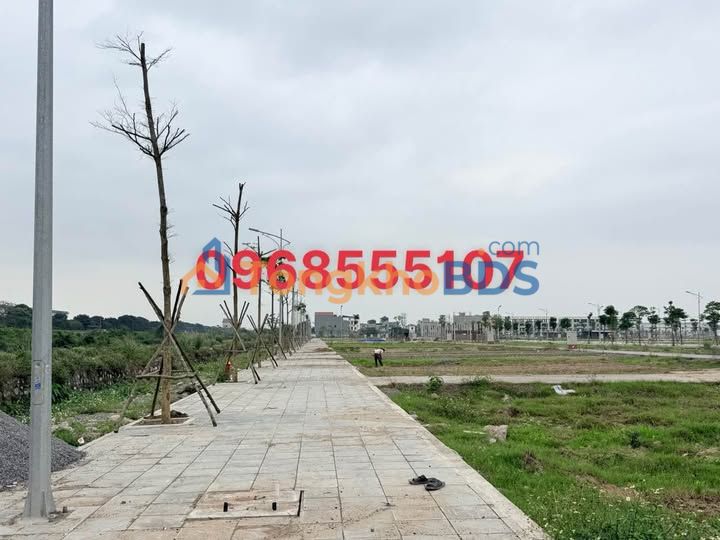 Đất nền KĐT Hoàng Lý Bắc Lý 100m² - Sổ đỏ chính chủ