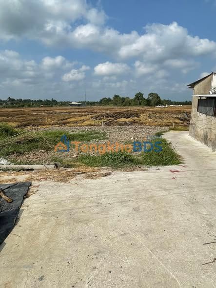 Đất Nền Phường An Lạc, Hồng Ngự: 166.8m² Thổ Cư, Giá 250 Triệu - Vị Trí Đẹp