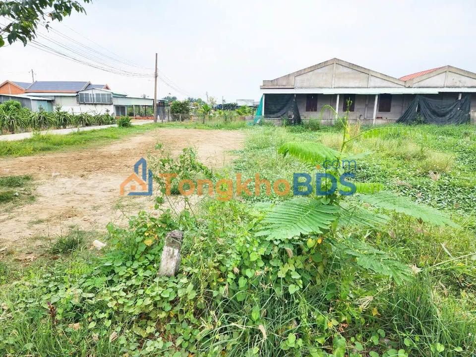 Đất thổ cư Phước Tân Hưng 137m² 780 triệu - Sổ hồng riêng