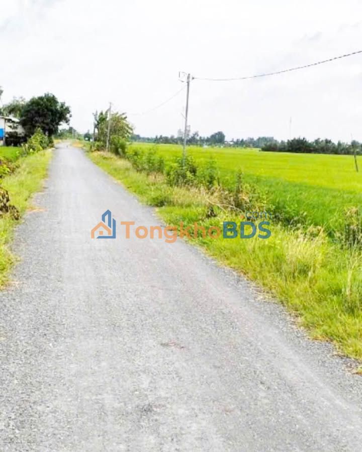 Đất nền Bình An Thủ Thừa 4563m² 2,74 tỷ - Pháp lý rõ ràng