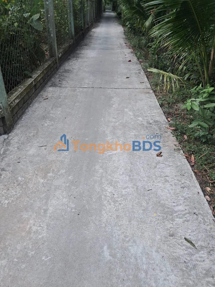 Đất vườn An Phước 1.400m² 990 triệu - Đầu tư dài hạn