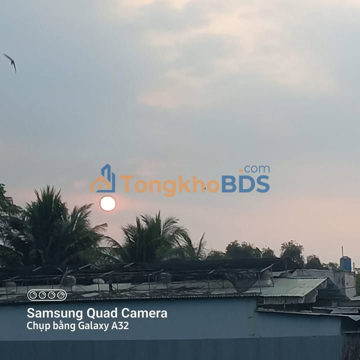 Đất nền Bình Mỹ Củ Chi 7.500m² 60 tỷ - Sổ đỏ chính chủ