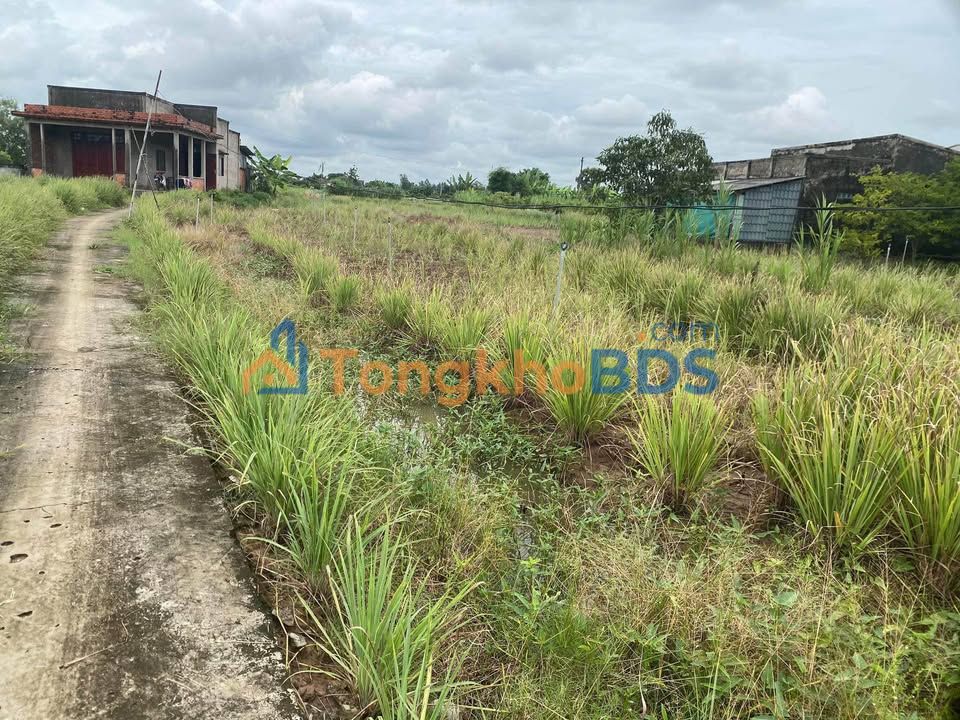 Đất Phú Thạnh Tân Phú Đông 1000m² - Hạ tầng hoàn thiện