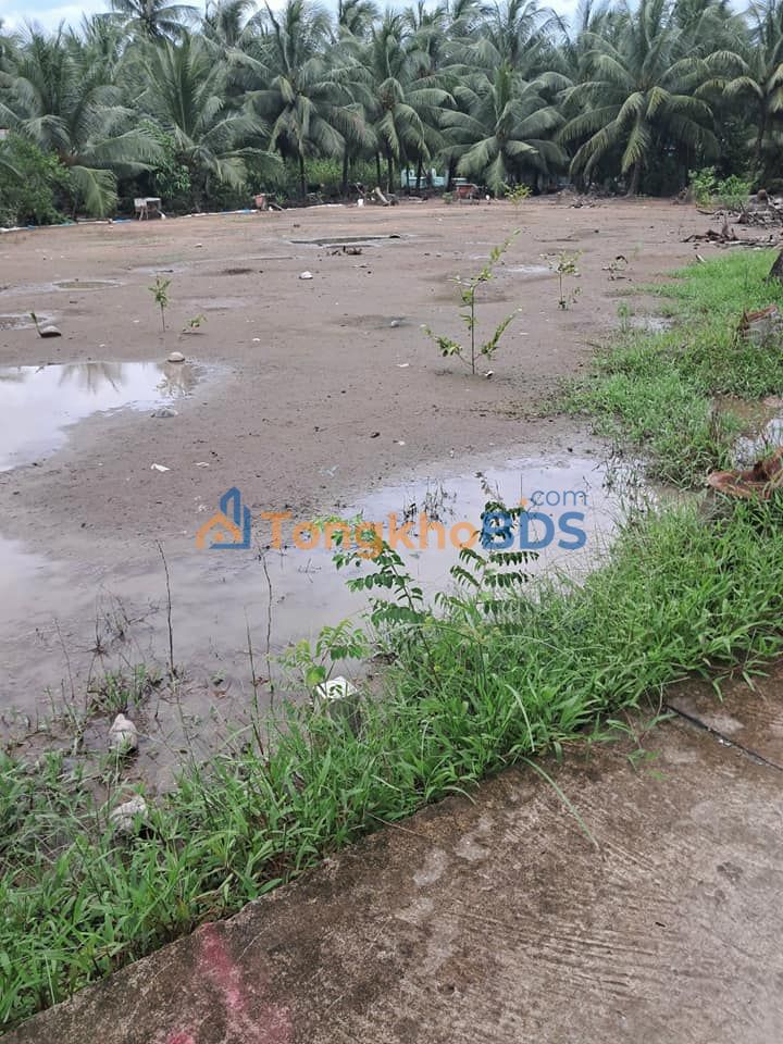 Đất nền Tân Thới Tiền Giang 100m² 150 triệu - Pháp lý rõ ràng