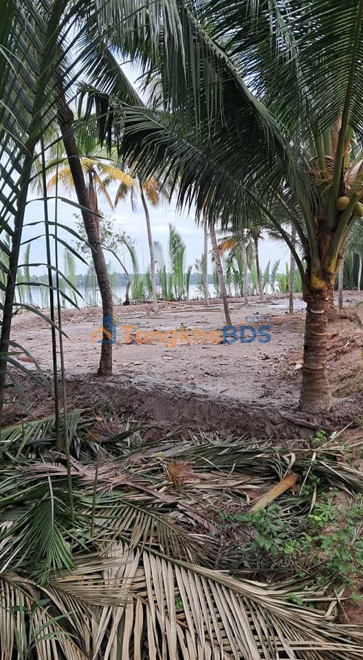 Đất nền Tân Thới 1.162m² 600 triệu - Sổ hồng rõ ràng