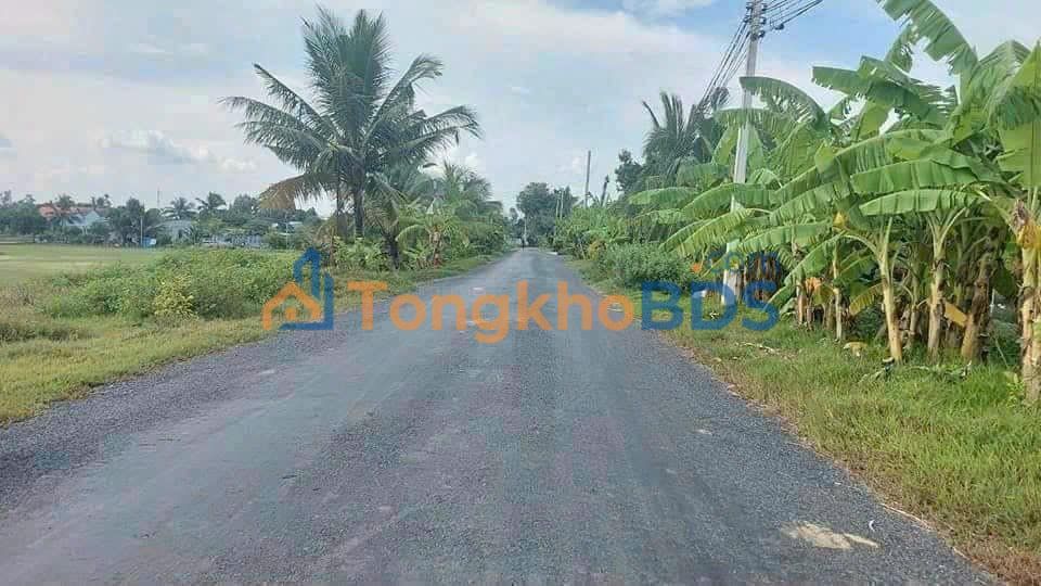 Đất nền Huỳnh Thị Đức Tân An 150m² - Sổ đỏ chính chủ