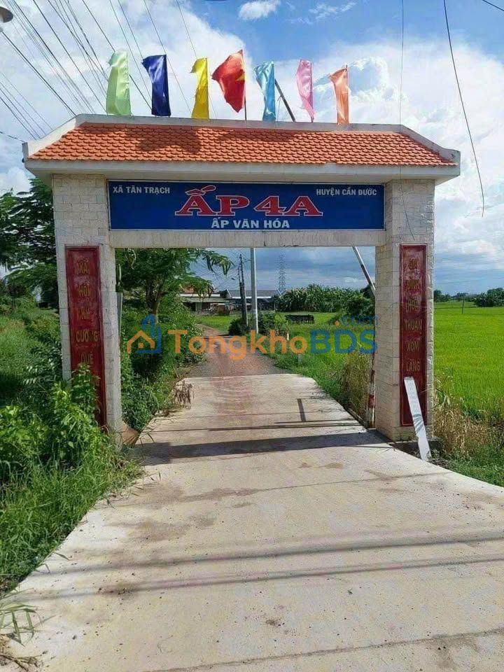 Đất nền Tân Trạch Cần Đước 195m² 420tr - Sổ đỏ chính chủ