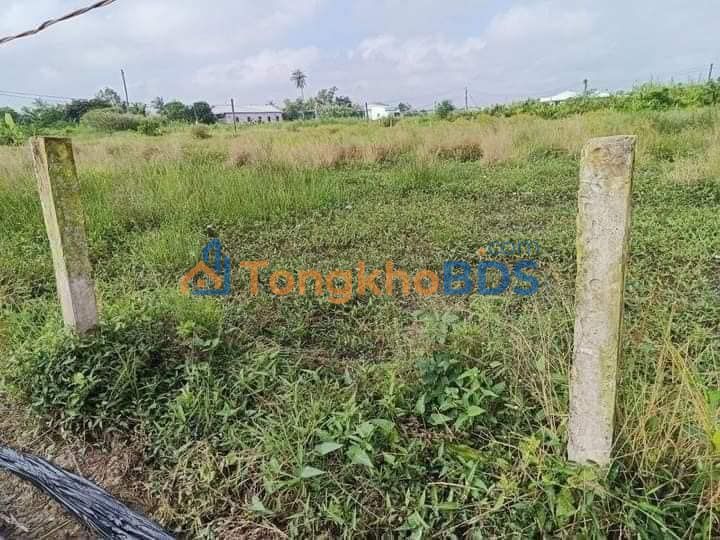 Đất nền Thanh Phú Long 2.500m² 1,75 tỷ - Sổ đỏ chính chủ