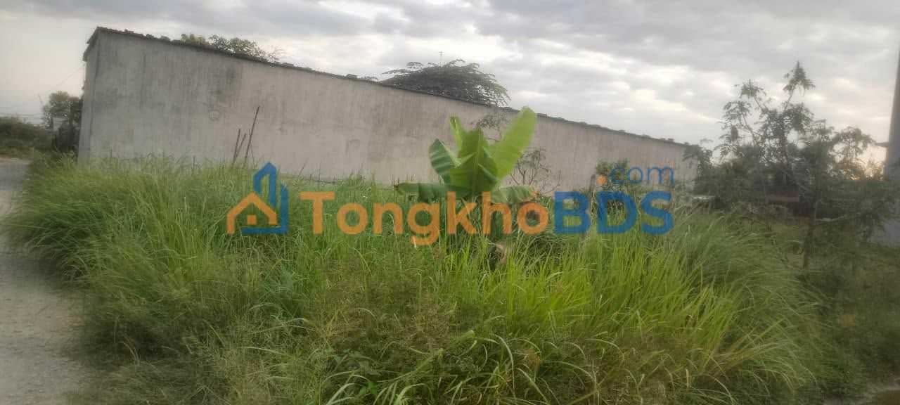 Đất nền Ấp 4 Hưng Thạnh 125m² 900 triệu - Sổ đỏ chính chủ