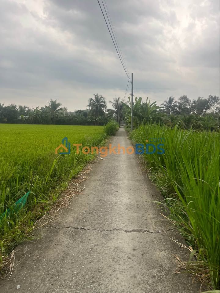 Đất nền Tân An 1.000m² giá 1.35 tỷ - Sổ đỏ chính chủ