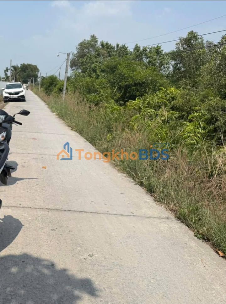 Đất vườn Bến Lức 500m² 1.35 tỷ - Sổ đỏ