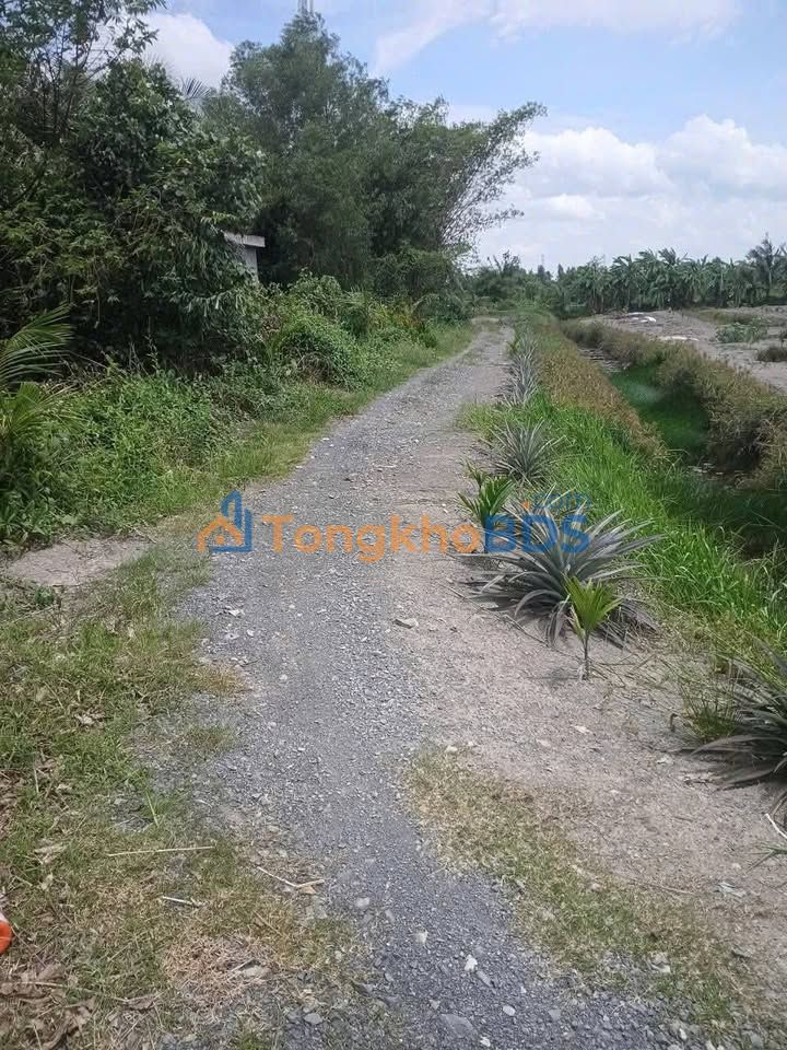 Đất Sổ Hồng Riêng 782.5m² Đức Hòa - Giá Tốt 2.1 Tỷ