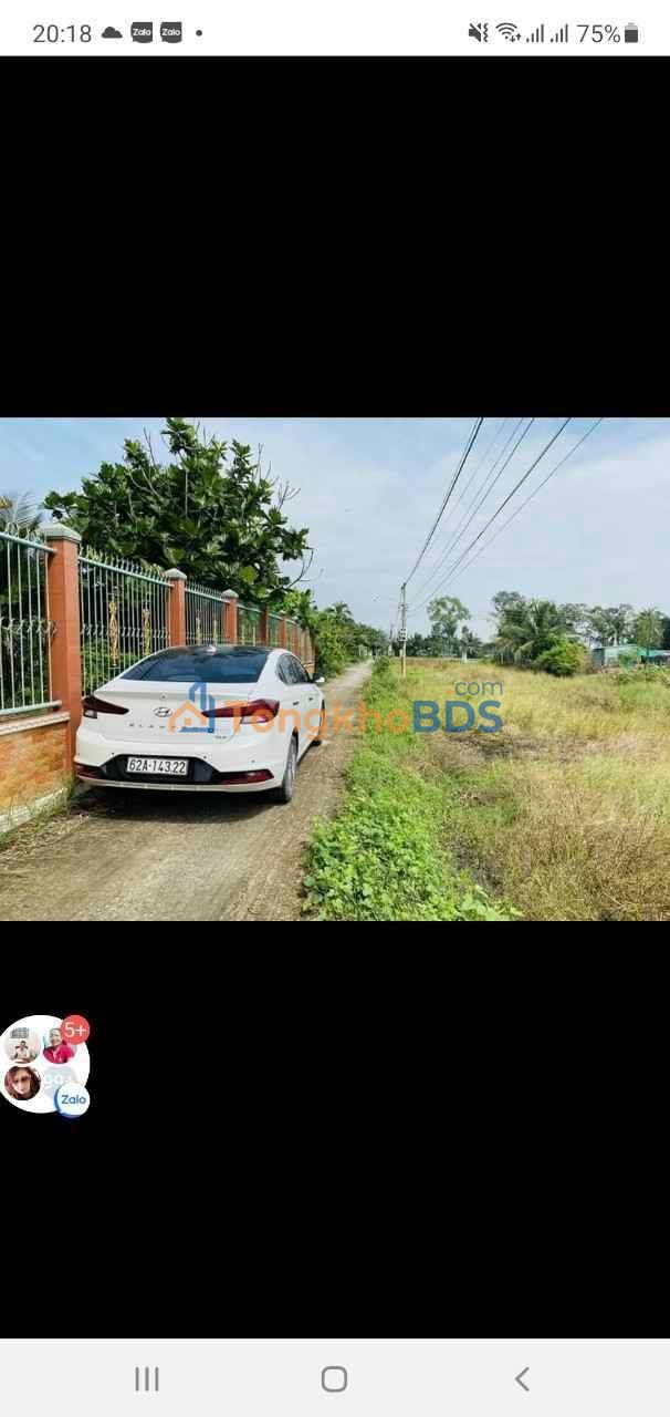 Đất nền Tân Phước Tây 255m² 290 triệu - Đường to ô tô