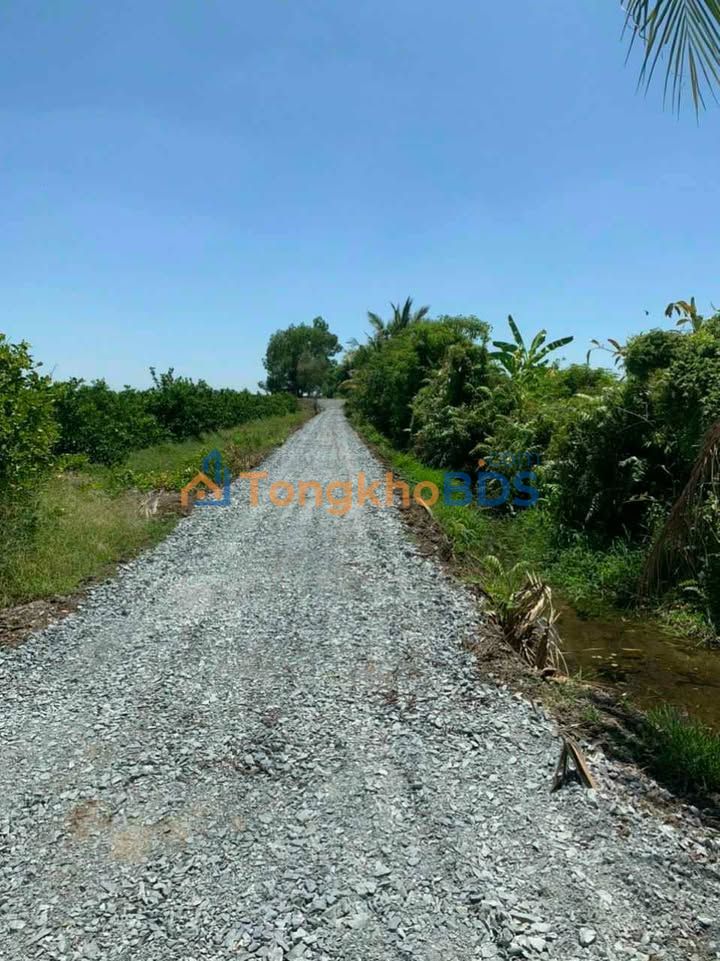 Đất vườn Ấp 3 Tân Thành 4.293m² 2.36 tỷ - Đầu tư dài hạn