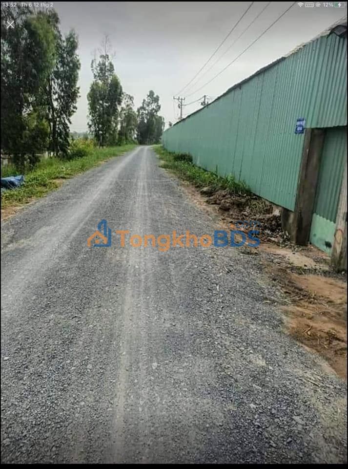 Đất vườn Long Hải Gò Công Tây 333m² 350 triệu - Sinh thái xanh