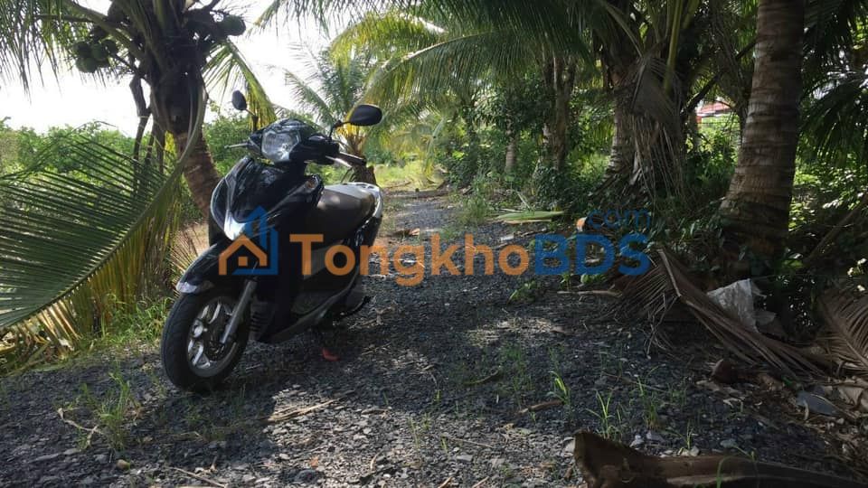 Đất nền Ấp 8 Lương Hòa 9700m² 12 tỷ - Sổ đỏ chính chủ