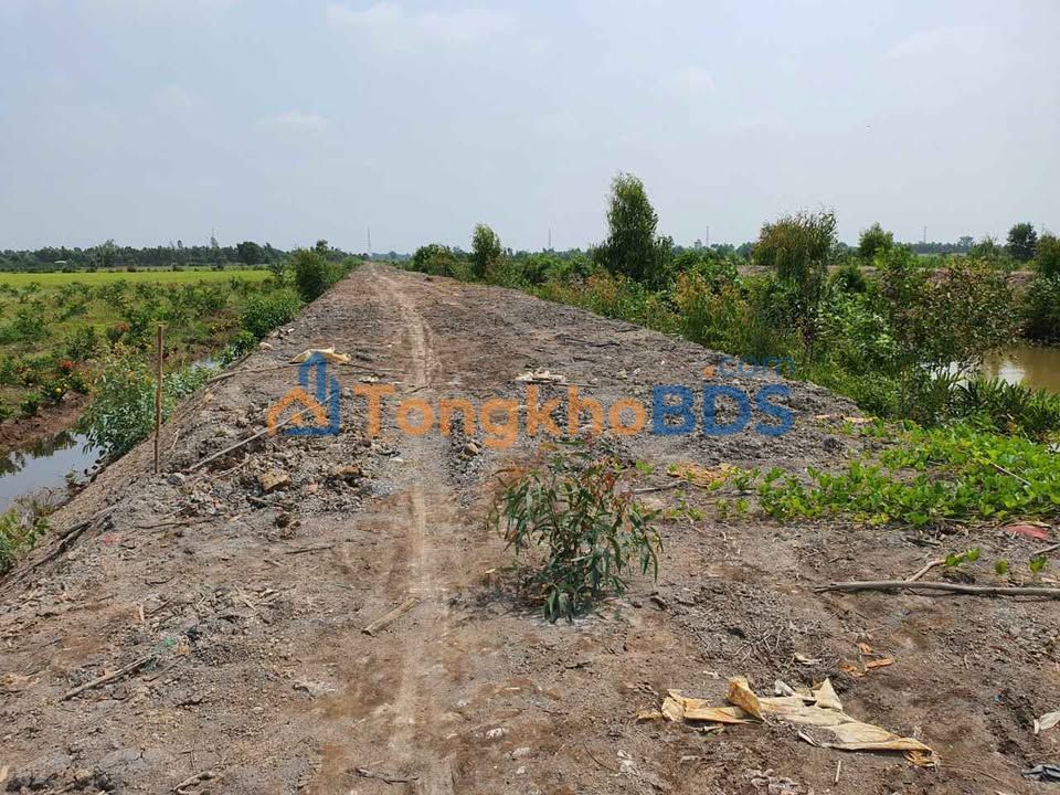 Đất vườn Tân Thành Thủ Thừa 1000m² - Đầu tư dài hạn