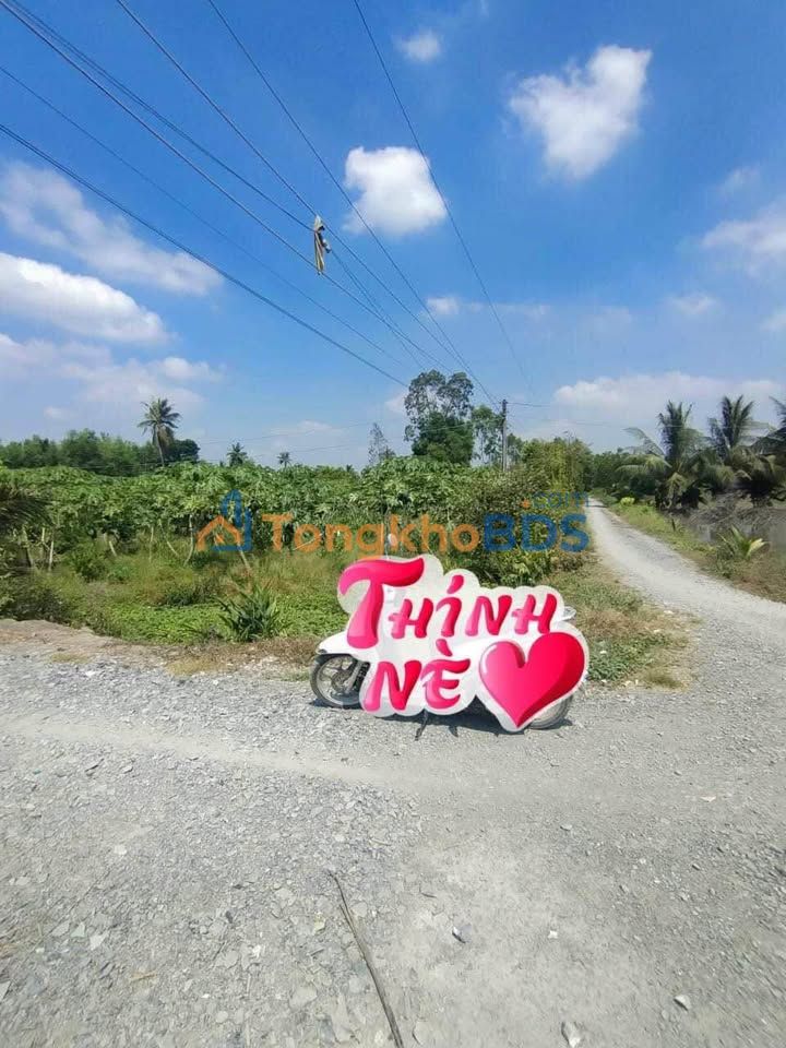 Đất nền Đức Hòa 151m² 570 triệu - Sổ đỏ chính chủ