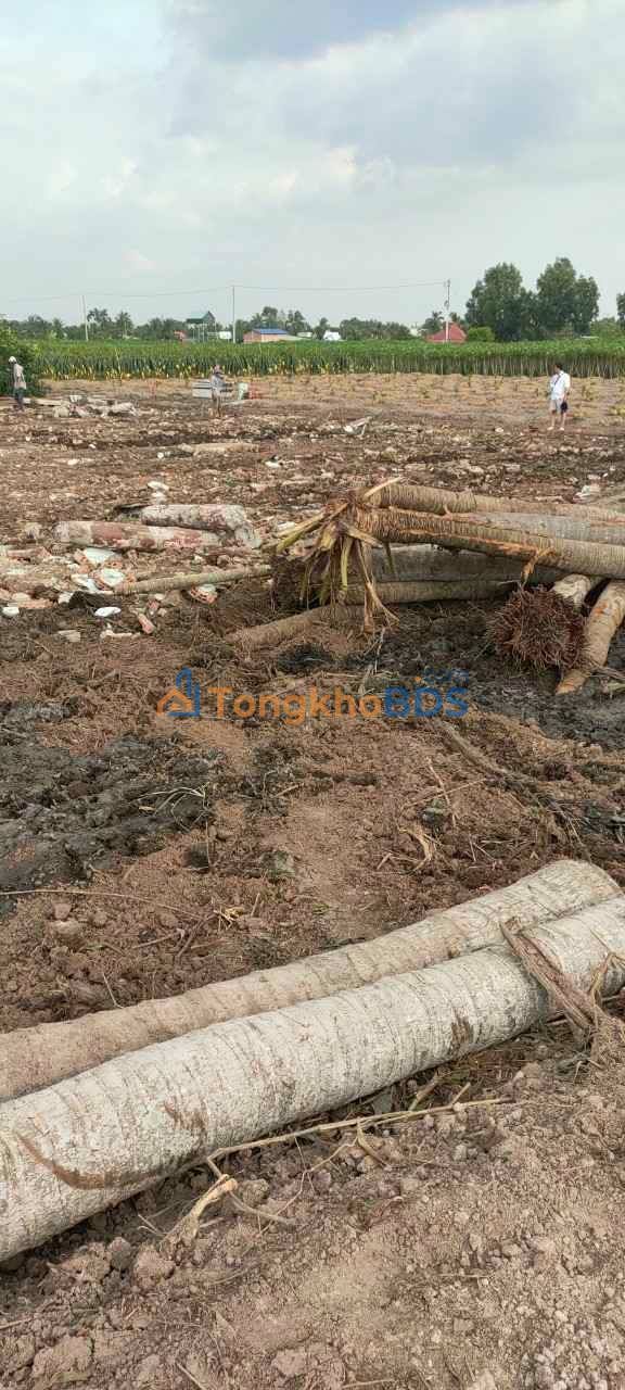 Đất nền Thạnh Đức Gò Dầu 195m² 660 triệu - Chính chủ sổ đỏ