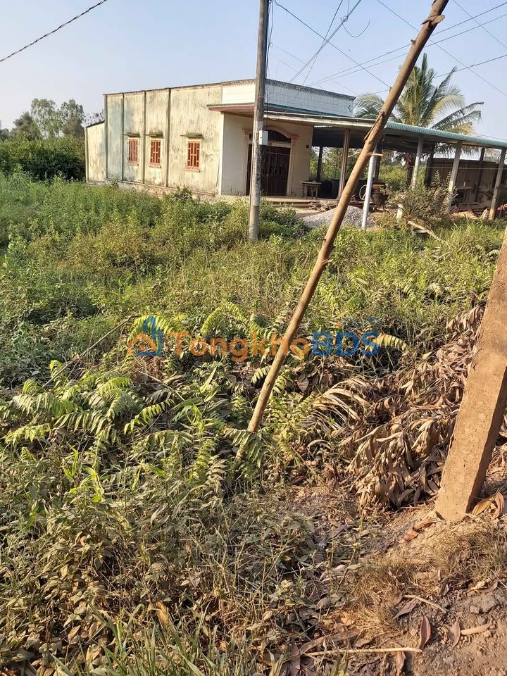 Đất nền Bình Đức Bến Lức 132m² 520 triệu - Sổ đỏ chính chủ