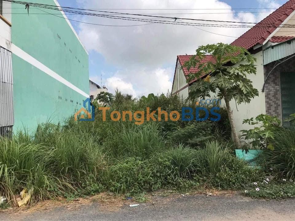 Đất thổ cư Bình Chánh QL1A 81m² 1.6 tỷ - Sổ đỏ chính chủ