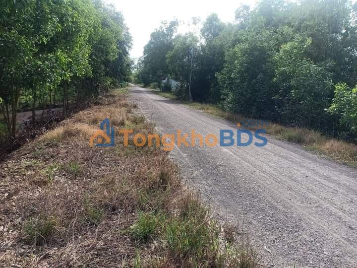 Đất nền Bình Thạnh Mộc Hóa 16.500m² 3.135 tỷ – Giá tốt, đường nhựa chuẩn bị sẵn