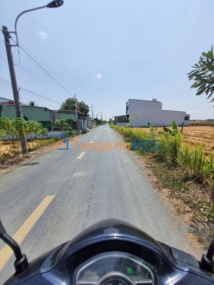 Đất nền Nguyễn Quang Đại Cần Đước 125m² đất thổ cư