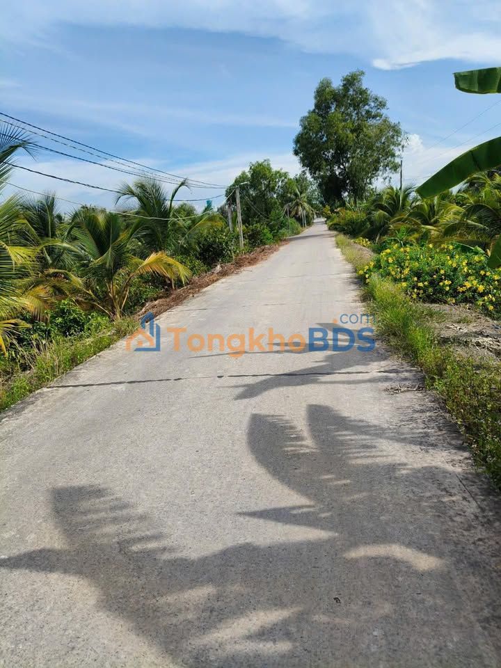 Bán Đất Vườn 500m² Bến Lức - Sổ Hồng Riêng, Giá 1.35 Tỷ