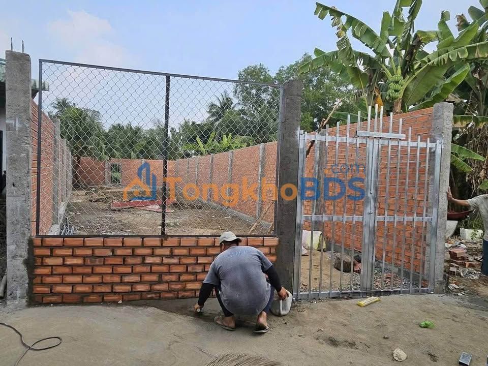 Đất Thổ Cư Vĩnh Hưng Long An 145m² - Nền Cao Ráo, Dân Cư Đông Đúc