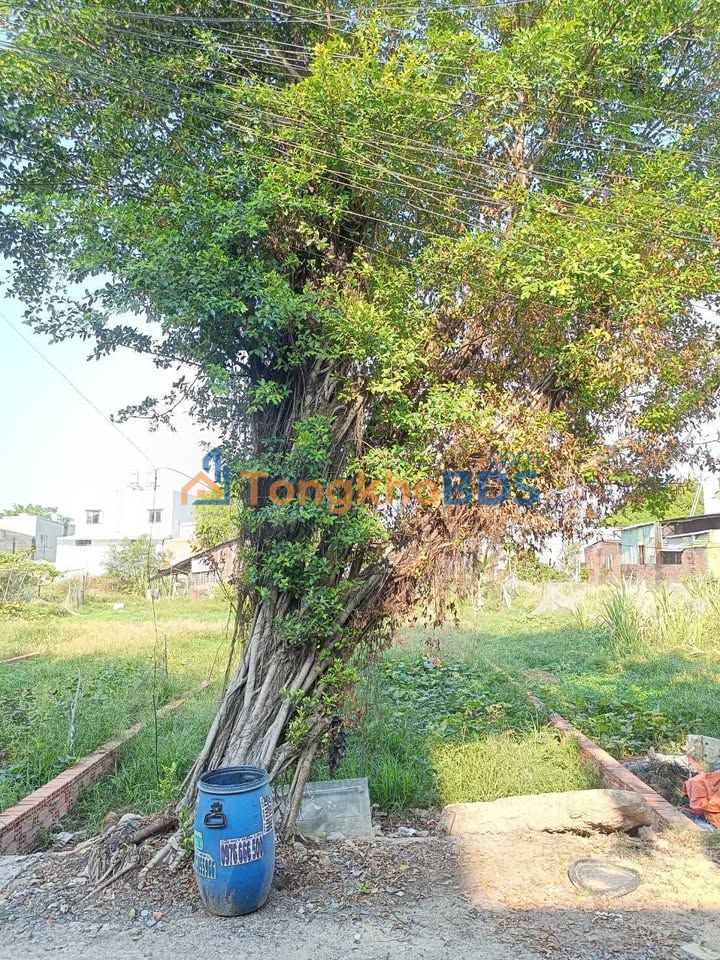 Đất Huỳnh Thị Na Hóc Môn 85m2 3.8 tỷ - Tiềm năng tăng giá